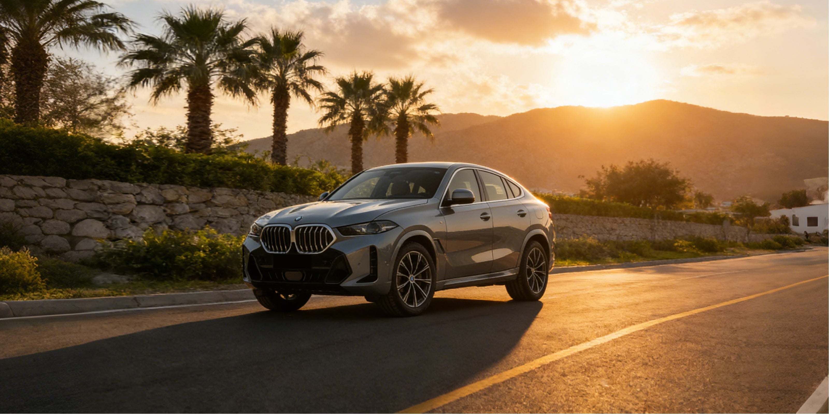 BMW-X6