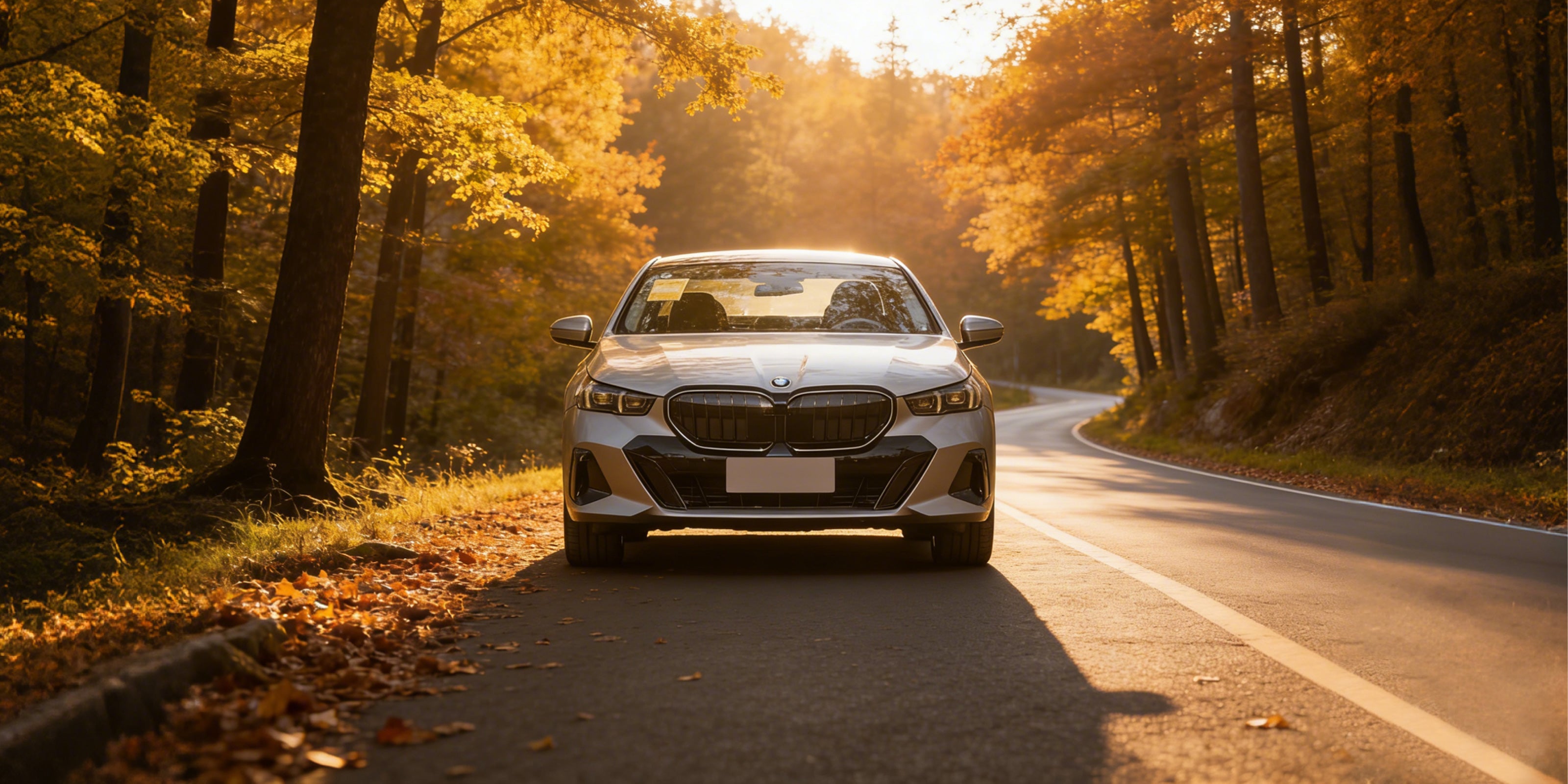 BMW-5 Series