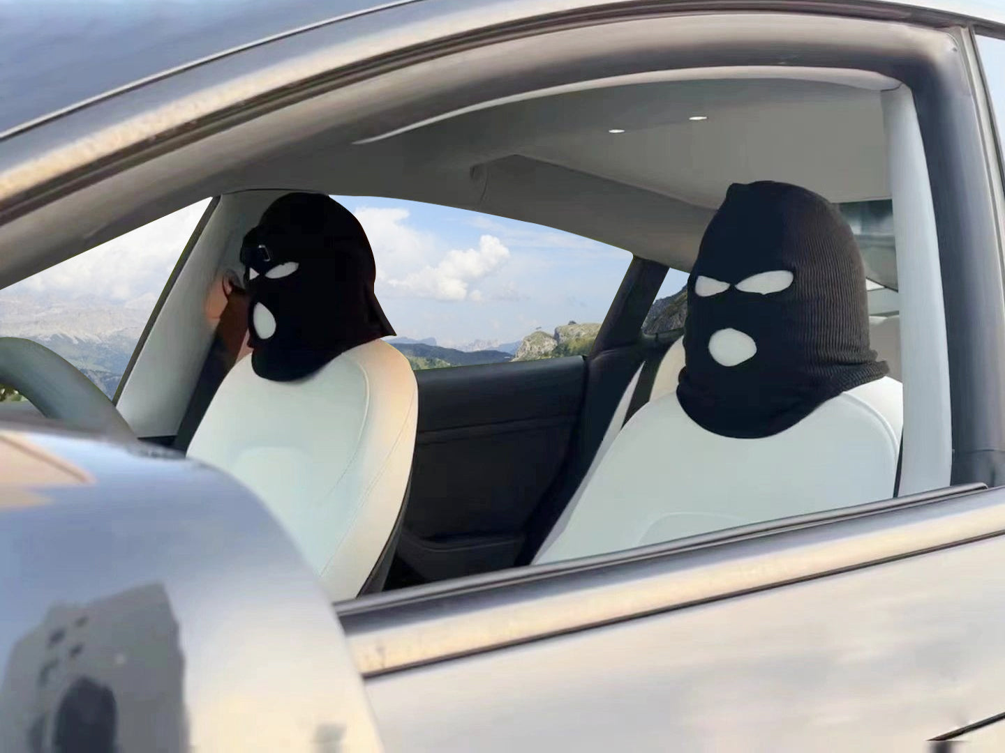 TESLA "Masked Passenger" Seat Covers