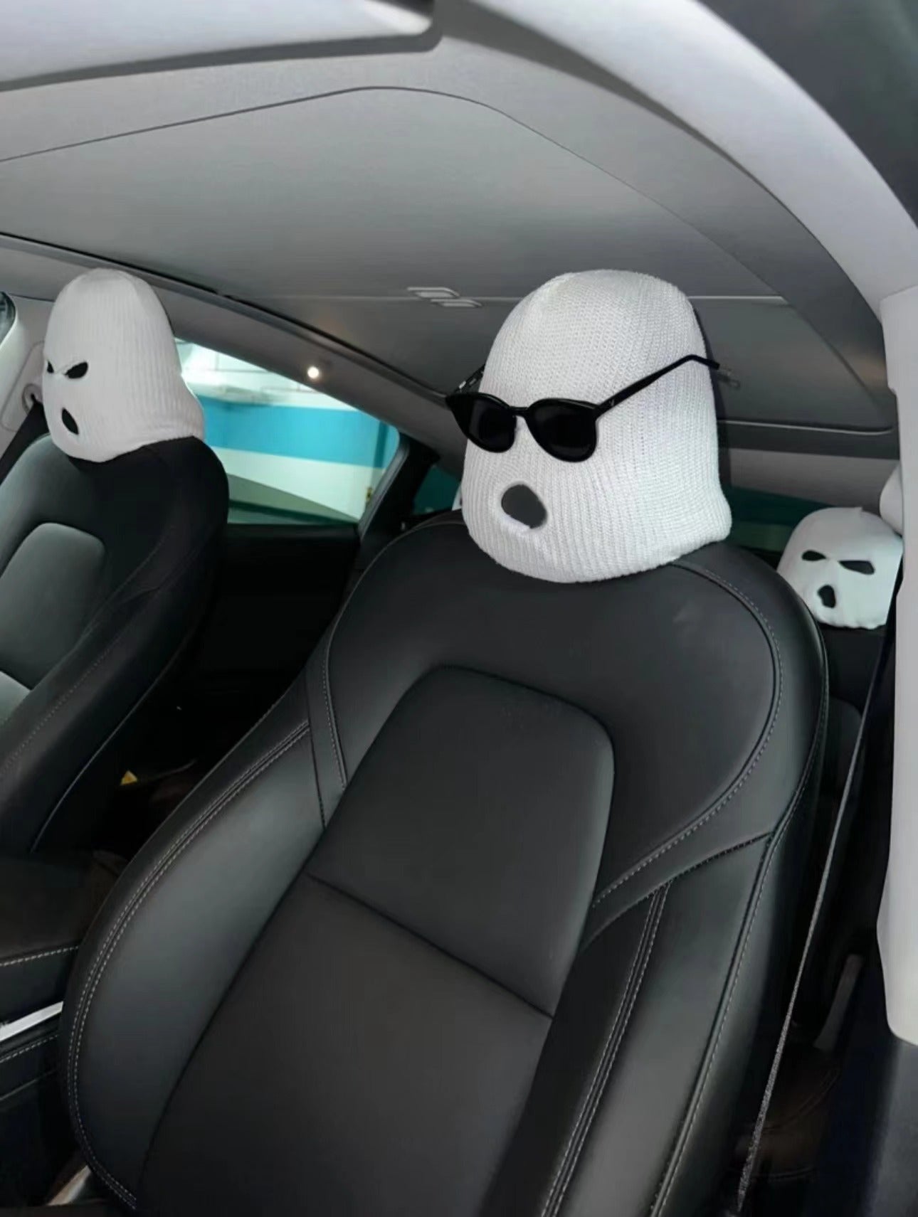 TESLA "Masked Passenger" Seat Covers