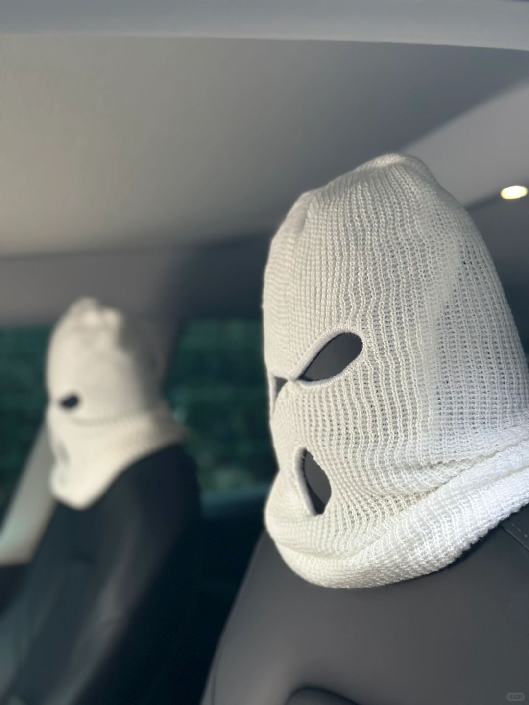 TESLA "Masked Passenger" Seat Covers