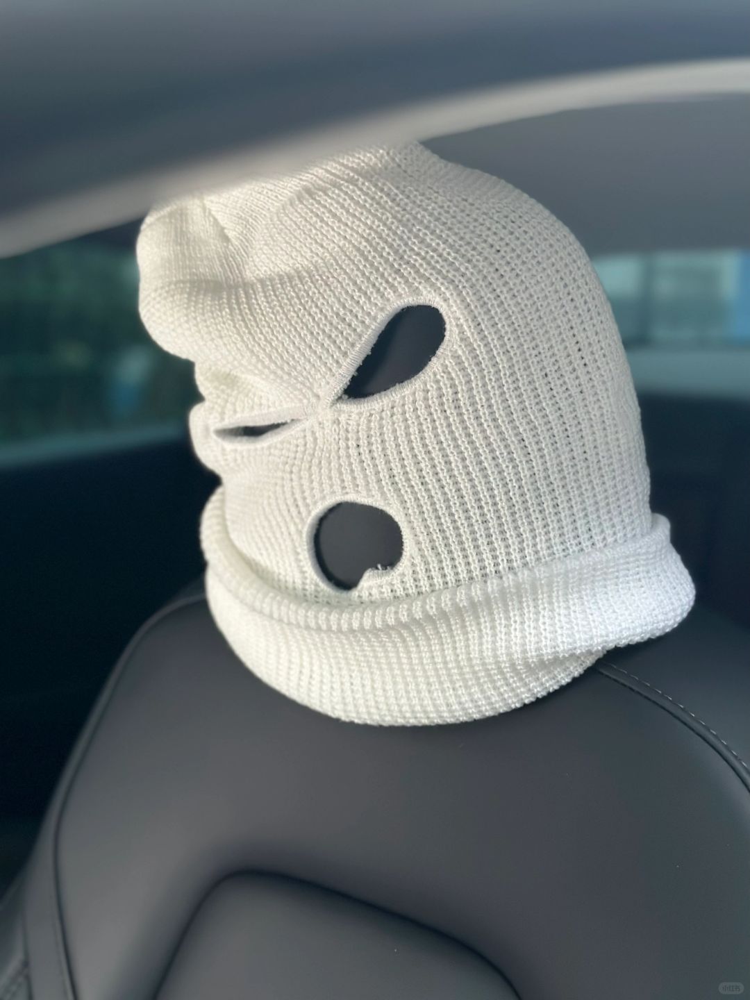 TESLA "Masked Passenger" Seat Covers